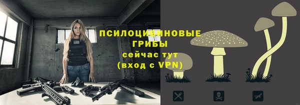 а пвп мука Мегион