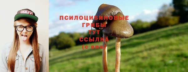 метадон Медвежьегорск