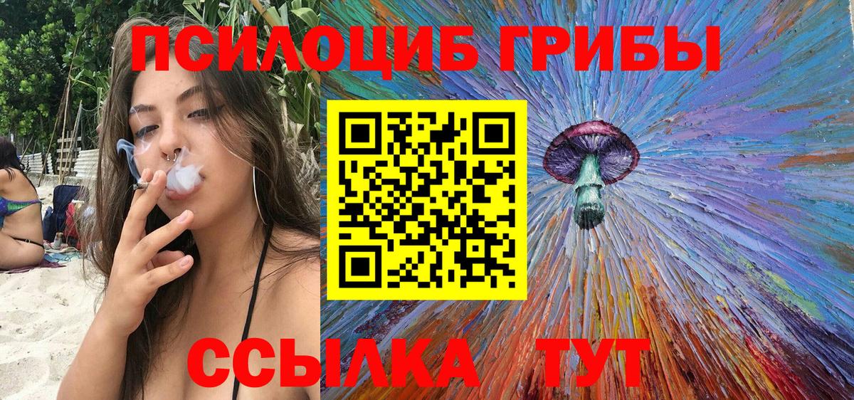 Галлюциногенные грибы GOLDEN TEACHER  Вход с VPN  Фрязино 